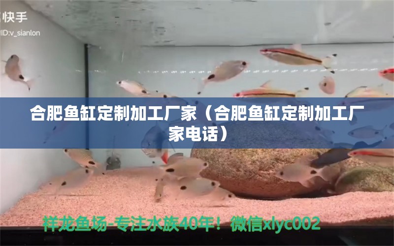 合肥魚缸定制加工廠家（合肥魚缸定制加工廠家電話）