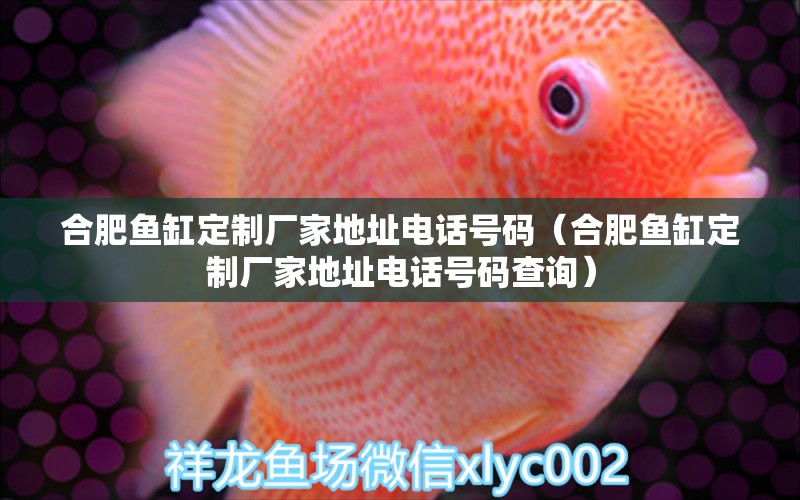 合肥魚缸定制廠家地址電話號碼（合肥魚缸定制廠家地址電話號碼查詢）