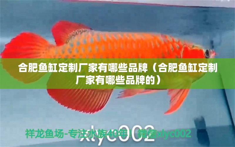 合肥魚缸定制廠家有哪些品牌（合肥魚缸定制廠家有哪些品牌的）