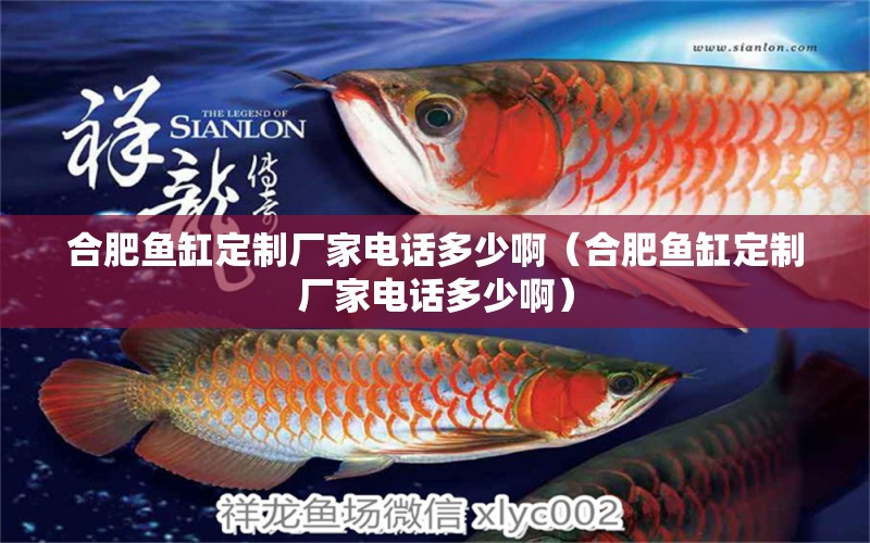 合肥魚(yú)缸定制廠家電話多少?。ê戏属~(yú)缸定制廠家電話多少?。?觀賞魚(yú)市場(chǎng)（混養(yǎng)魚(yú)）