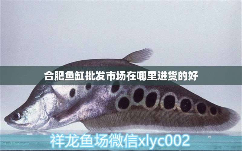 合肥魚(yú)缸批發(fā)市場(chǎng)在哪里進(jìn)貨的好 養(yǎng)魚(yú)知識(shí)