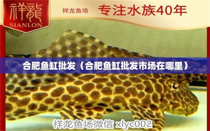 合肥魚缸批發(fā)（合肥魚缸批發(fā)市場在哪里） 其他品牌魚缸