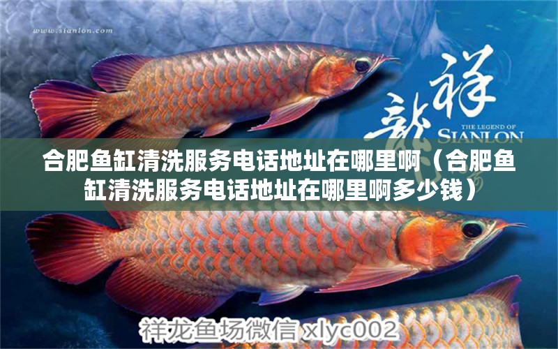 合肥魚(yú)缸清洗服務(wù)電話(huà)地址在哪里啊（合肥魚(yú)缸清洗服務(wù)電話(huà)地址在哪里啊多少錢(qián)） 觀賞魚(yú)市場(chǎng)（混養(yǎng)魚(yú)）