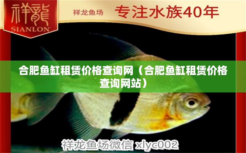 合肥魚缸租賃價格查詢網(wǎng)（合肥魚缸租賃價格查詢網(wǎng)站）