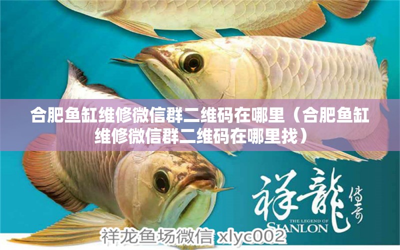 合肥魚(yú)缸維修微信群二維碼在哪里（合肥魚(yú)缸維修微信群二維碼在哪里找）