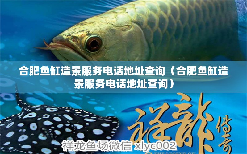 合肥魚缸造景服務(wù)電話地址查詢（合肥魚缸造景服務(wù)電話地址查詢） 月光鴨嘴魚苗