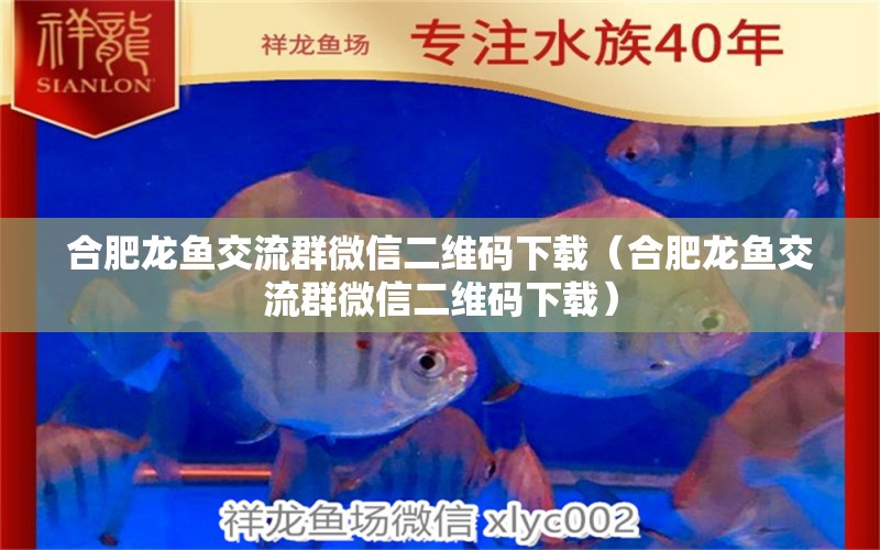 合肥龍魚交流群微信二維碼下載（合肥龍魚交流群微信二維碼下載） 祥龍水族醫(yī)院