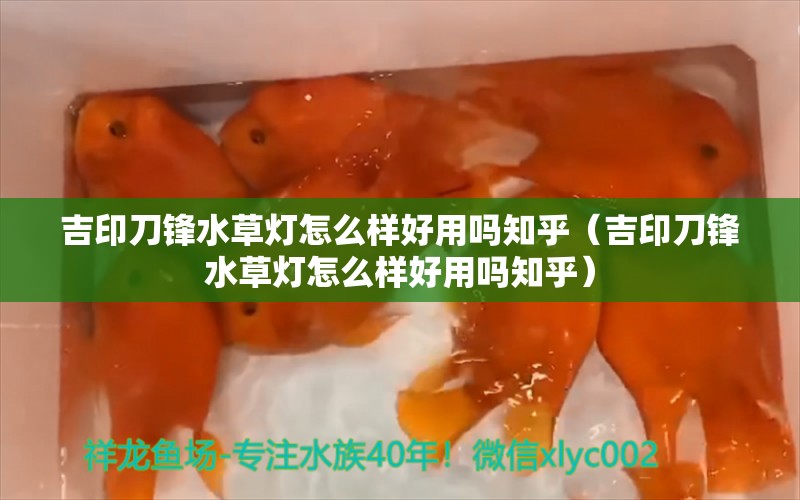 吉印刀鋒水草燈怎么樣好用嗎知乎（吉印刀鋒水草燈怎么樣好用嗎知乎）