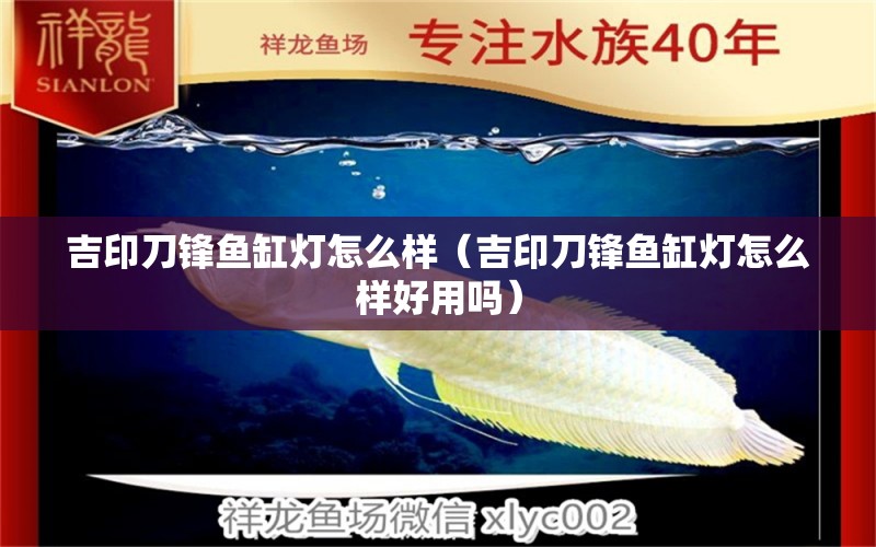 吉印刀鋒魚缸燈怎么樣（吉印刀鋒魚缸燈怎么樣好用嗎） 吉印水族