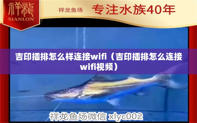 吉印插排怎么樣連接wifi（吉印插排怎么連接wifi視頻）