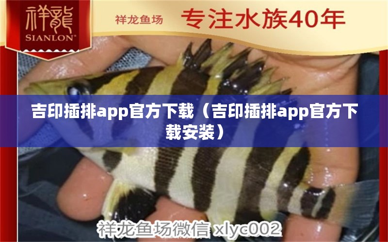 吉印插排app官方下載（吉印插排app官方下載安裝）