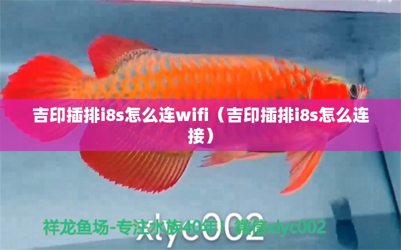 吉印插排i8s怎么連wifi（吉印插排i8s怎么連接）