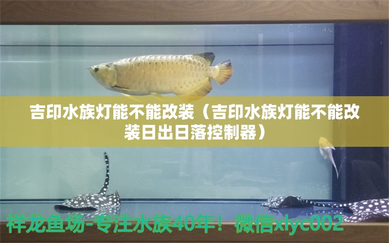 吉印水族燈能不能改裝（吉印水族燈能不能改裝日出日落控制器） 吉印水族