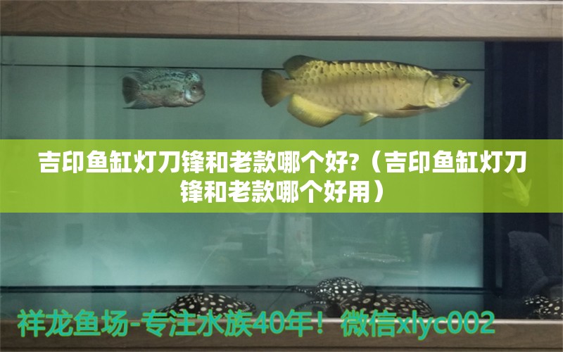 吉印魚缸燈刀鋒和老款哪個(gè)好?（吉印魚缸燈刀鋒和老款哪個(gè)好用） 吉印水族