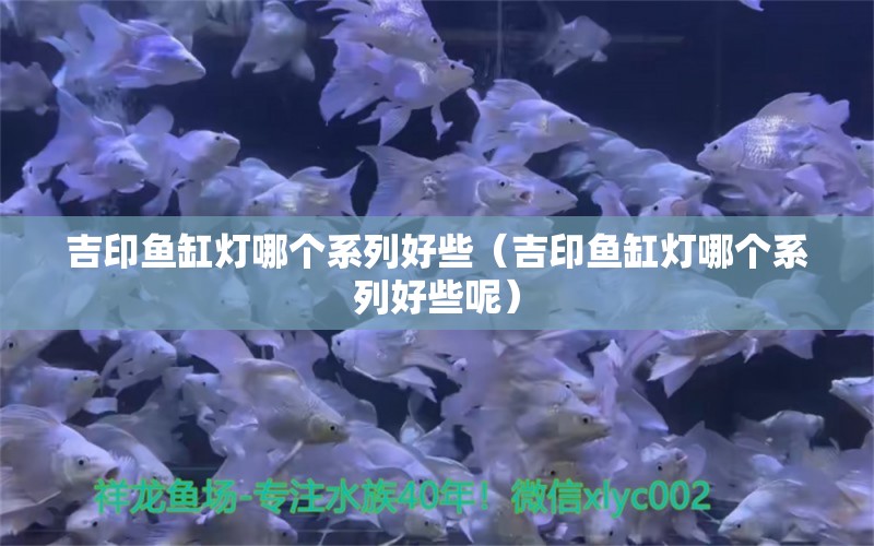 吉印魚缸燈哪個系列好些（吉印魚缸燈哪個系列好些呢）