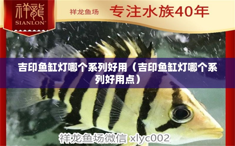 吉印魚缸燈哪個(gè)系列好用（吉印魚缸燈哪個(gè)系列好用點(diǎn)）