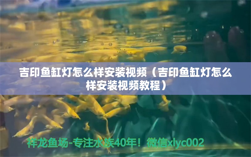 吉印魚缸燈怎么樣安裝視頻（吉印魚缸燈怎么樣安裝視頻教程）