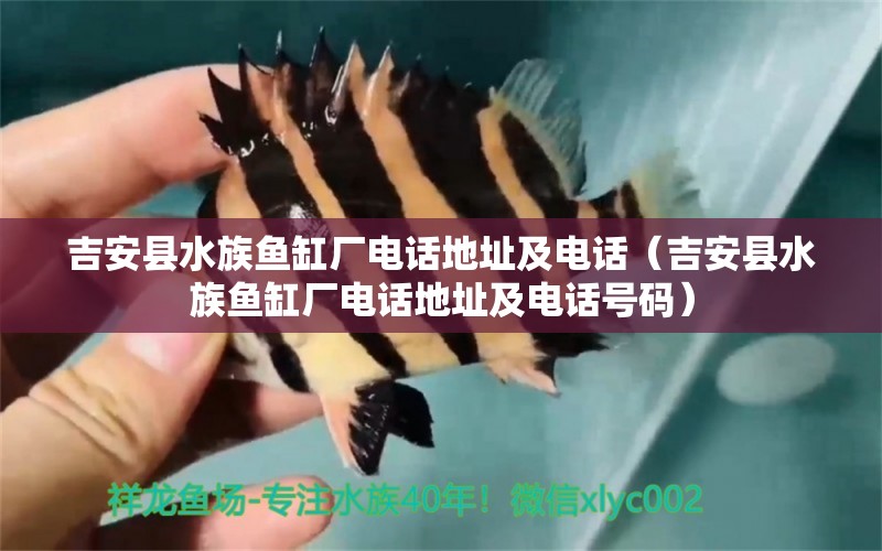 吉安縣水族魚缸廠電話地址及電話（吉安縣水族魚缸廠電話地址及電話號碼）