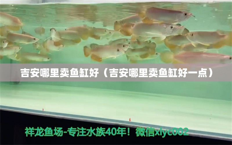 吉安哪里賣(mài)魚(yú)缸好（吉安哪里賣(mài)魚(yú)缸好一點(diǎn)）