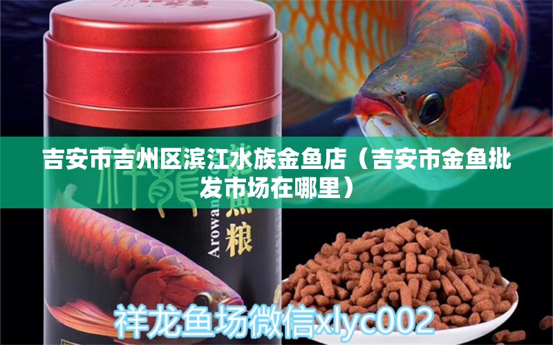 吉安市吉州區(qū)濱江水族金魚店（吉安市金魚批發(fā)市場在哪里）