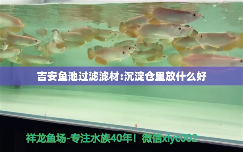 吉安魚池過濾濾材:沉淀倉里放什么好