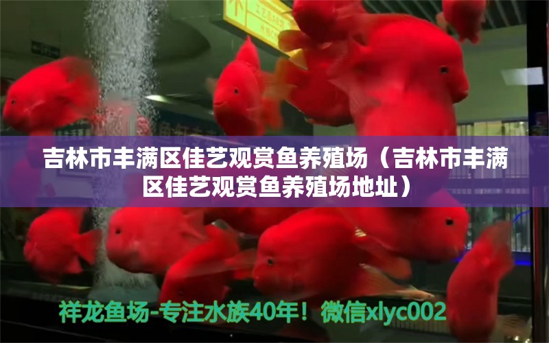 吉林市豐滿區(qū)佳藝觀賞魚(yú)養(yǎng)殖場(chǎng)（吉林市豐滿區(qū)佳藝觀賞魚(yú)養(yǎng)殖場(chǎng)地址） 全國(guó)水族館企業(yè)名錄