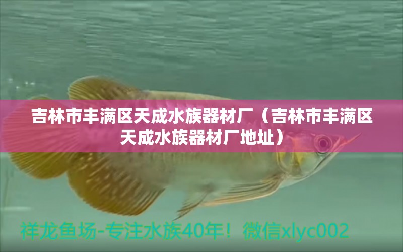 吉林市豐滿區(qū)天成水族器材廠（吉林市豐滿區(qū)天成水族器材廠地址）