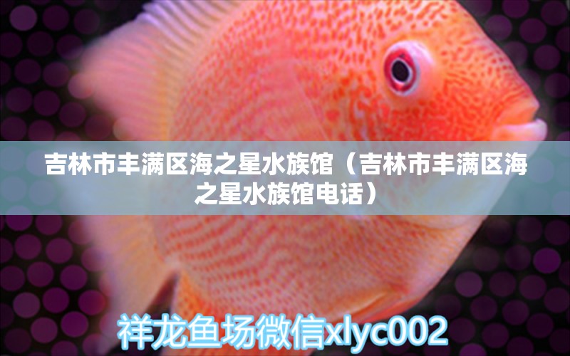 吉林市豐滿區(qū)海之星水族館（吉林市豐滿區(qū)海之星水族館電話）