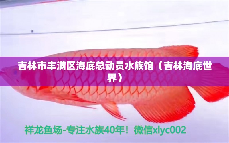 吉林市豐滿區(qū)海底總動(dòng)員水族館（吉林海底世界）