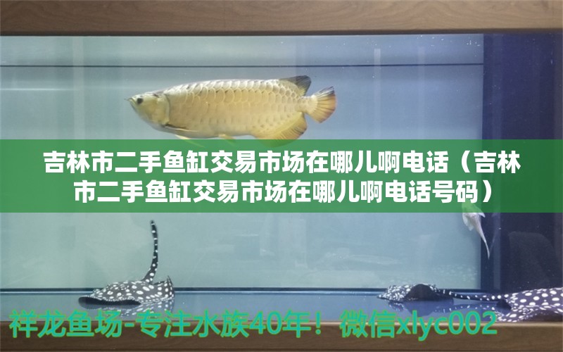 吉林市二手魚缸交易市場在哪兒啊電話（吉林市二手魚缸交易市場在哪兒啊電話號(hào)碼）