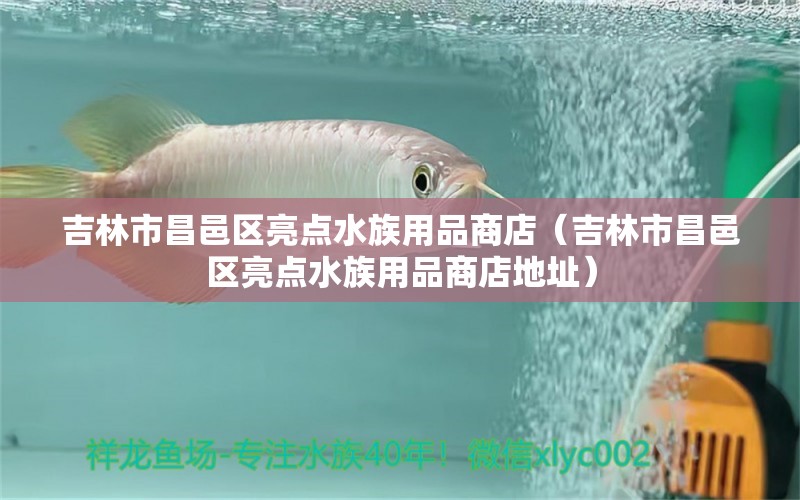 吉林市昌邑區(qū)亮點(diǎn)水族用品商店（吉林市昌邑區(qū)亮點(diǎn)水族用品商店地址）