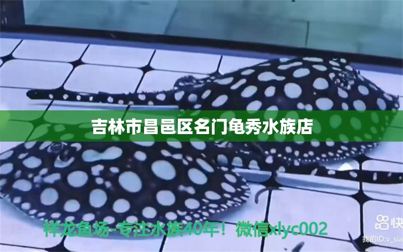 吉林市昌邑區(qū)名門龜秀水族店