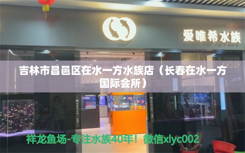 吉林市昌邑區(qū)在水一方水族店（長春在水一方國際會所）