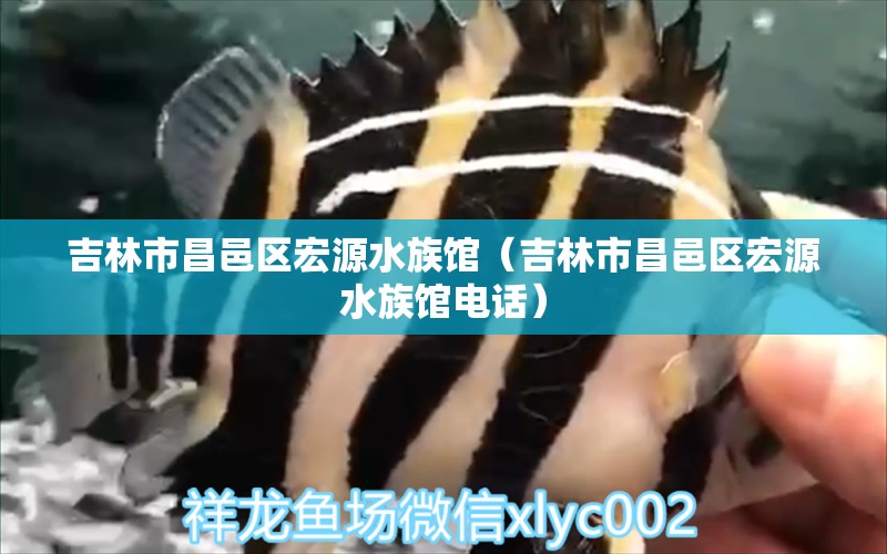 吉林市昌邑區(qū)宏源水族館（吉林市昌邑區(qū)宏源水族館電話）