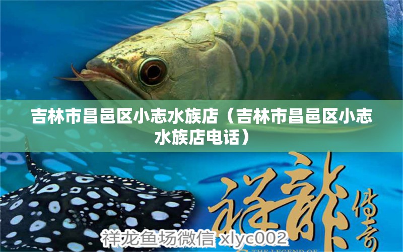 吉林市昌邑區(qū)小志水族店（吉林市昌邑區(qū)小志水族店電話）