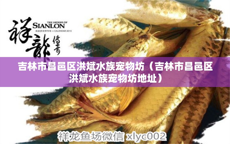 吉林市昌邑區(qū)洪斌水族寵物坊（吉林市昌邑區(qū)洪斌水族寵物坊地址）