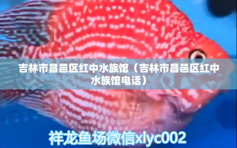 吉林市昌邑區(qū)紅中水族館（吉林市昌邑區(qū)紅中水族館電話）