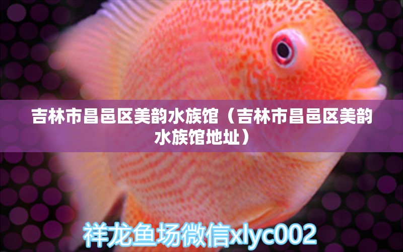 吉林市昌邑區(qū)美韻水族館（吉林市昌邑區(qū)美韻水族館地址）