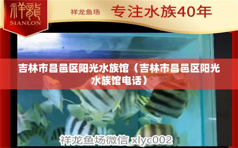 吉林市昌邑區(qū)陽光水族館（吉林市昌邑區(qū)陽光水族館電話） 全國(guó)水族館企業(yè)名錄