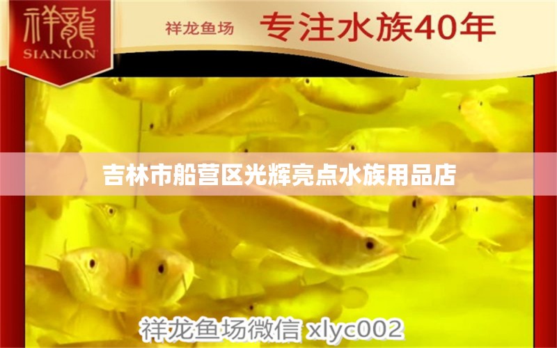 吉林市船營區(qū)光輝亮點水族用品店 水族用品