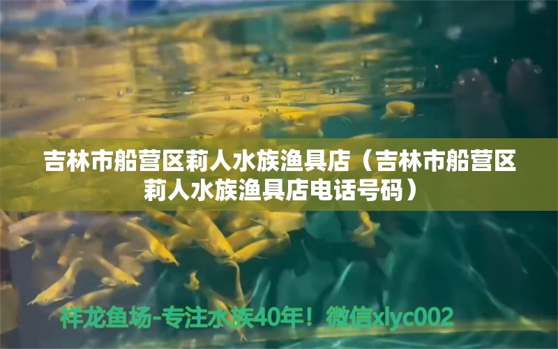 吉林市船營區(qū)莉人水族漁具店（吉林市船營區(qū)莉人水族漁具店電話號碼） 全國水族館企業(yè)名錄