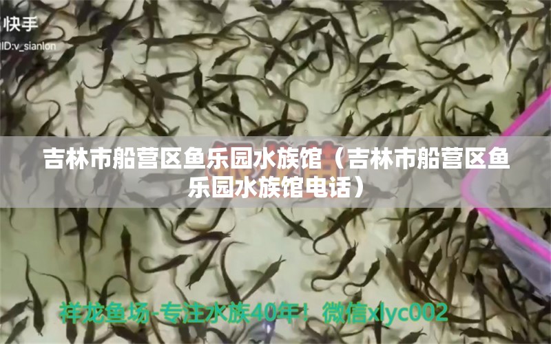 吉林市船營(yíng)區(qū)魚樂(lè)園水族館（吉林市船營(yíng)區(qū)魚樂(lè)園水族館電話）