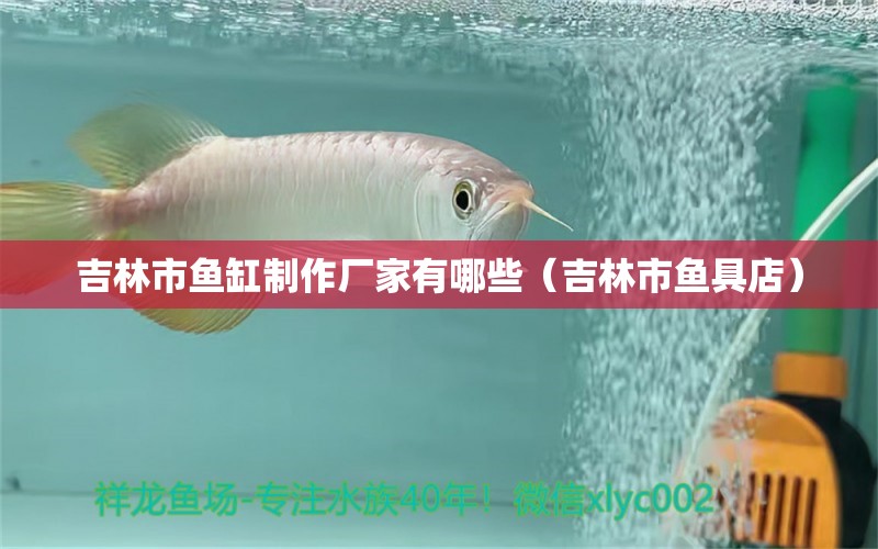 吉林市魚缸制作廠家有哪些（吉林市魚具店） 海象魚