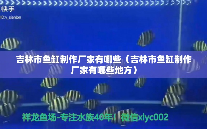 吉林市魚缸制作廠家有哪些（吉林市魚缸制作廠家有哪些地方）