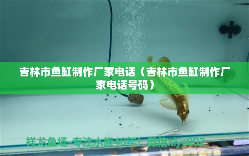 吉林市魚缸制作廠家電話（吉林市魚缸制作廠家電話號碼） 其他品牌魚缸