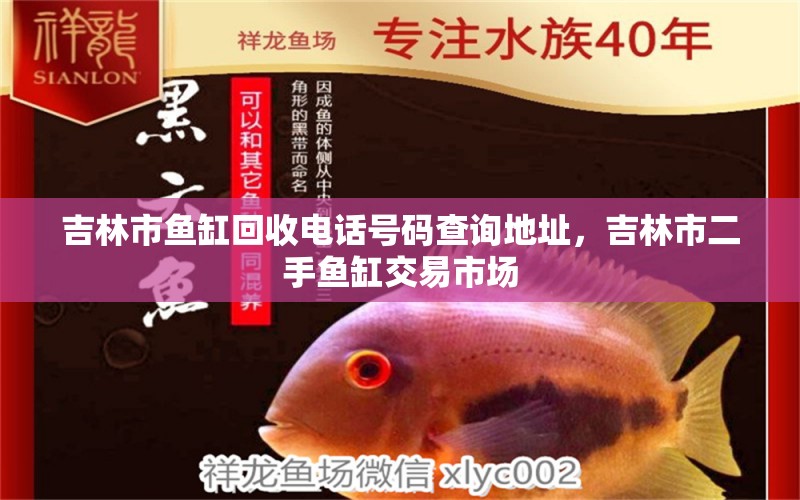 吉林市魚缸回收電話號碼查詢地址，吉林市二手魚缸交易市場 豬鼻龜