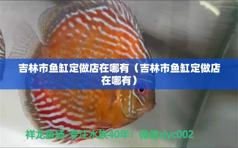 吉林市魚缸定做店在哪有（吉林市魚缸定做店在哪有）