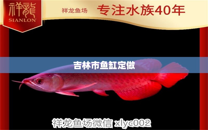 吉林市魚缸定做