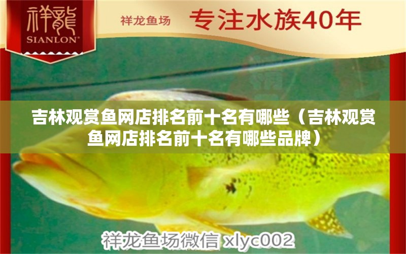 吉林觀賞魚網(wǎng)店排名前十名有哪些（吉林觀賞魚網(wǎng)店排名前十名有哪些品牌）