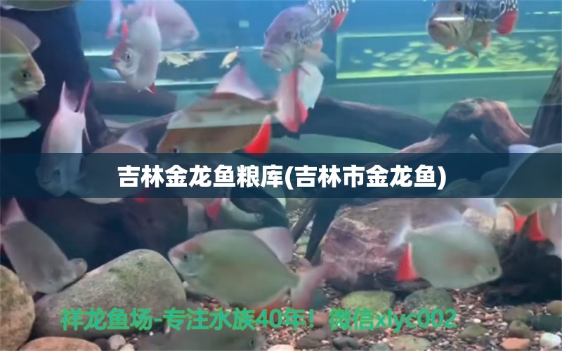 吉林金龍魚糧庫(吉林市金龍魚) 金龍魚糧